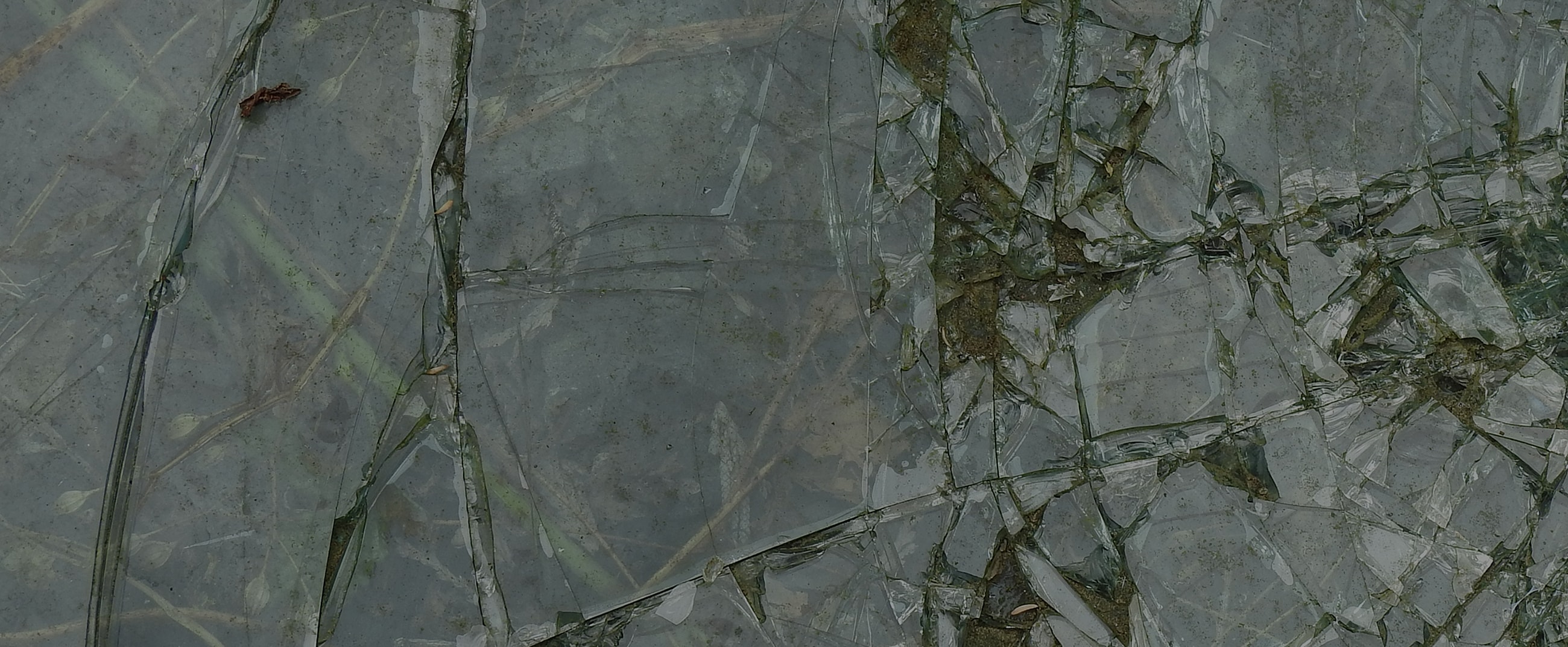 Cracked textured surface with organic elements visible.